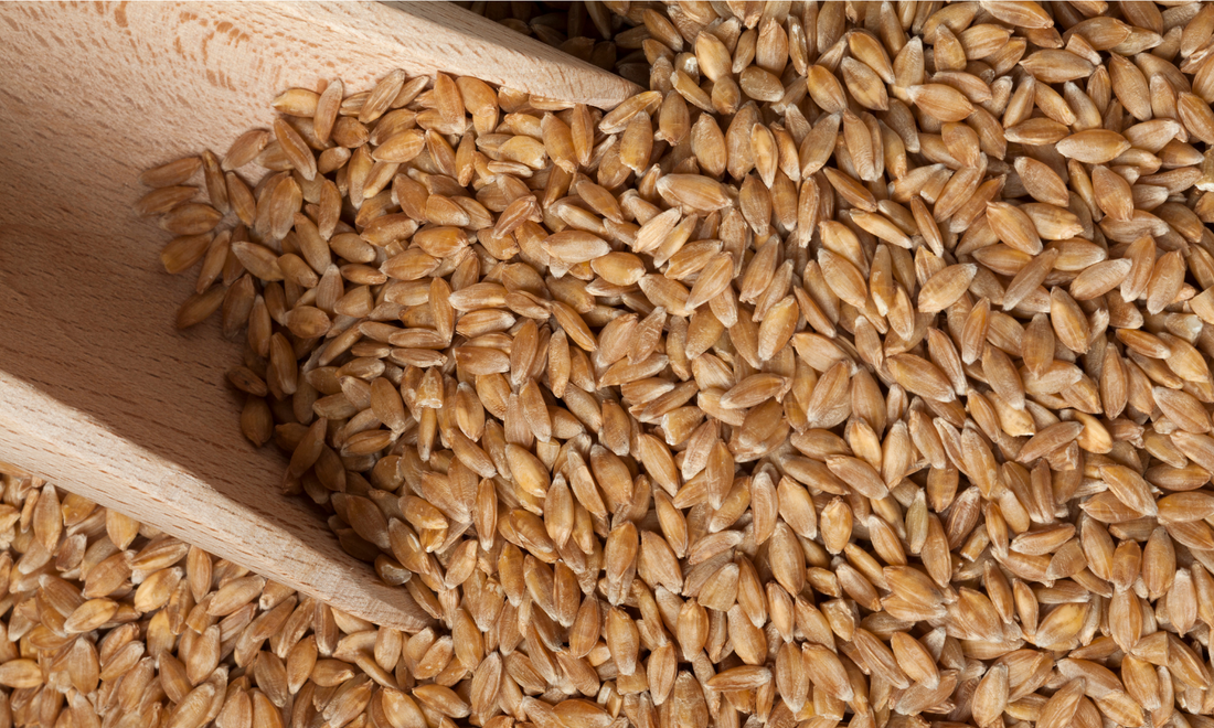 Nutritional Benefits of Einkorn Flour