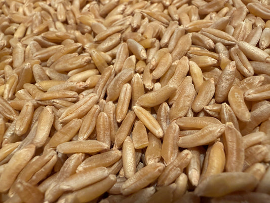 Organic Fresh-Milled Khorasan Flour: Nutrition, Facts, and Best Uses