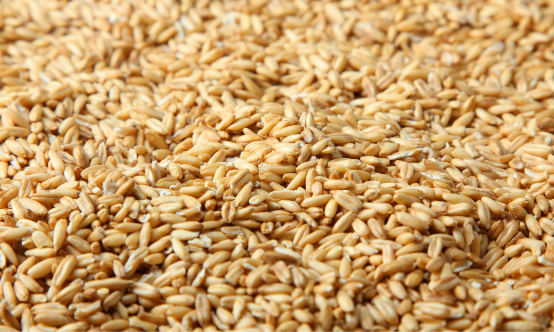 Nutritional Benefits of Oat Flour