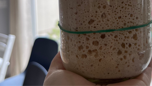 Sourdough Starter, for Starters: A Beginners Guide