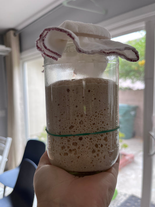 Sourdough Starter, Organic